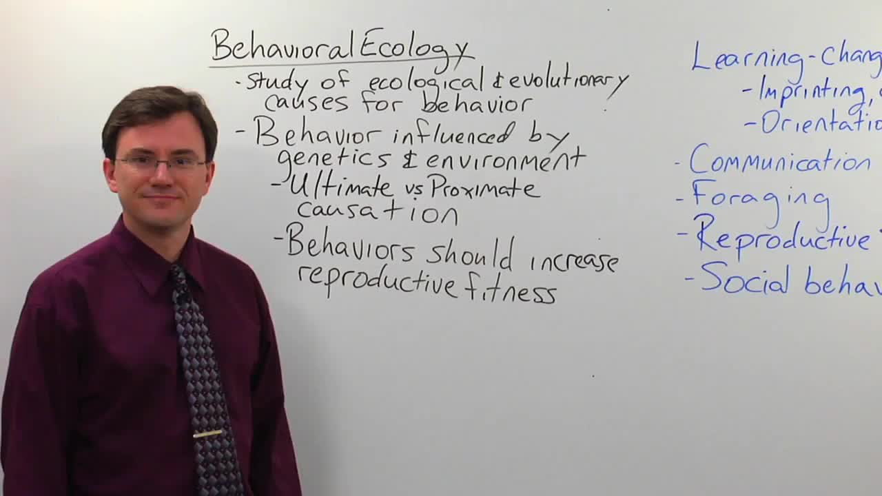 Behavioral Ecology - Biology Video by Brightstorm