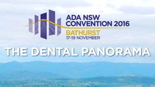 ADA NSW Convention 2016 - Episode 4