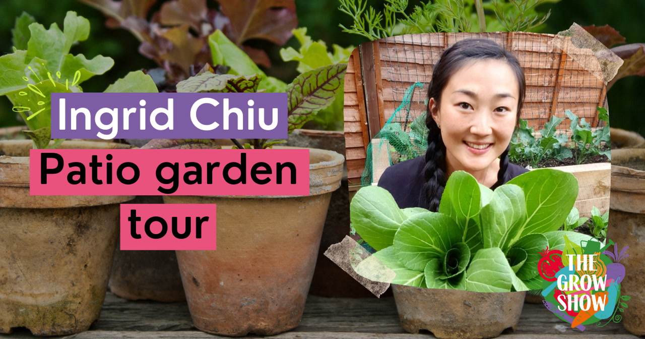 Ingrid Chiu Patio Garden Tour