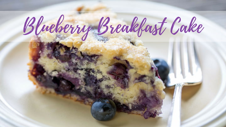 Blueberry Buttermilk Breakfast Cake  The Recipe Critic