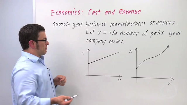 Economics: Cost & Revenue