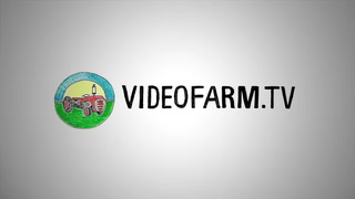 What is VideoFarm.tv