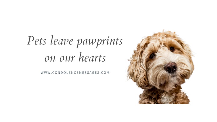 35 Sympathy Card Condolence Messages Loss Of Pet