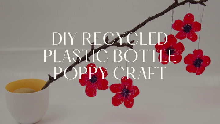 Cup-Holder Flower Recycled Craft }