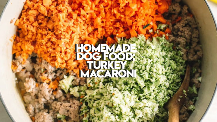Big Batch Homemade Organic Dog Food Recipe