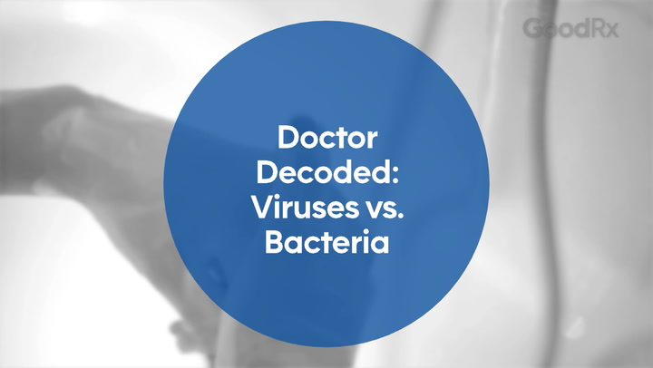 doctor-decoded-viruses-vs-bacteria.png