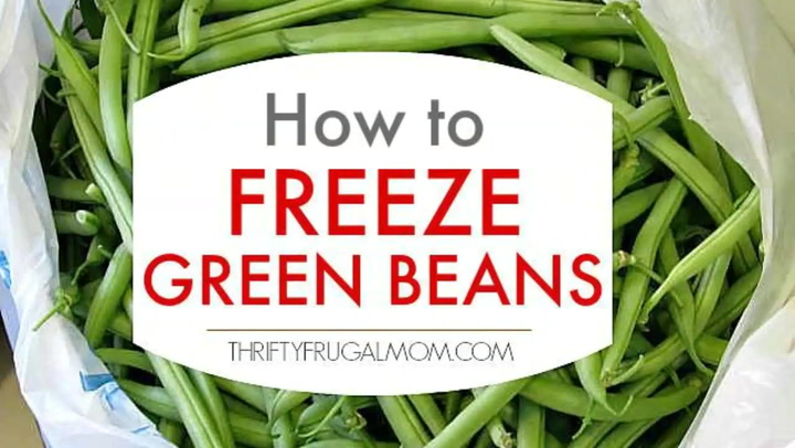How To Freeze Green Beans (A Step By Step Tutorial) - Thrifty Frugal Mom
