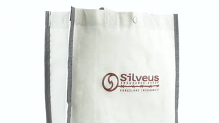 Reflective Lunch Tote Bag