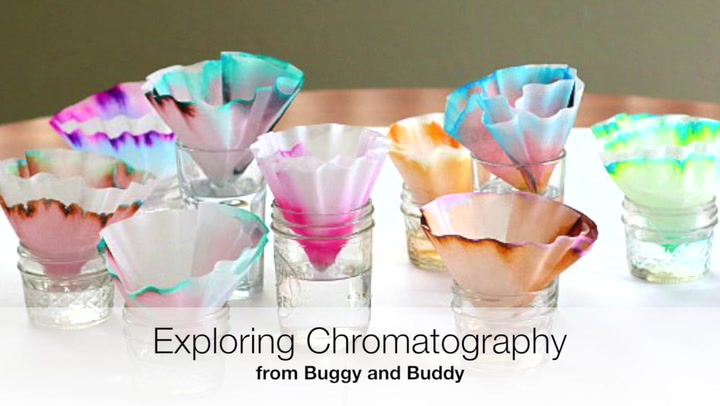 🦋 Chromatography Butterflies - EASY Butterfly Science Craft for Kids