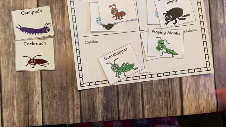 Squirmy Syllable Words Sort with Insects - Teach Beside Me
