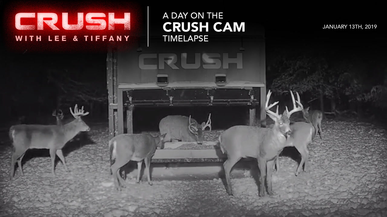 24 Hour Time-lapse of the LIVE The Crush with Lee & Tiffany Deer Cam