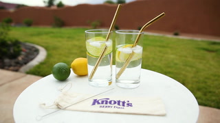 Hoover Stainless Steel Straw Set