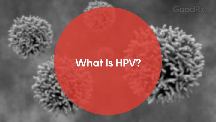 what-is-hpv.jpg