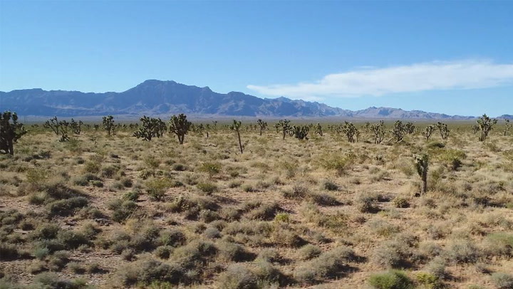Nevada Lithium Resources: An Exploding Industry