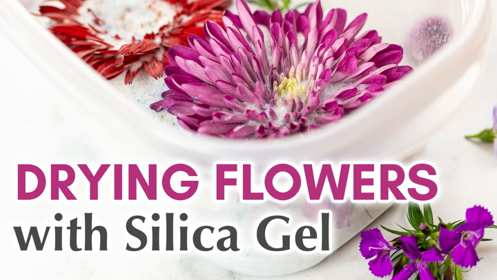 1 Single Flower Drying Kit ONE JAR Includes Silica Gel Powder and