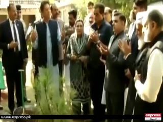 وزیراعظم عمران خان نے کشمیریوں سے یکجہتی کے لئے کشمیر فریڈم ٹری لگا دیا