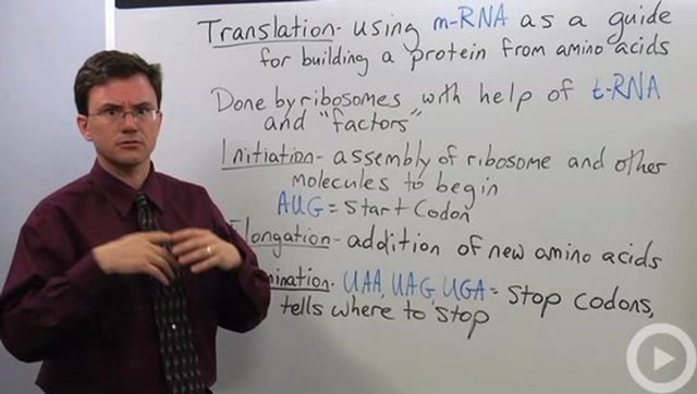 Biology Translation