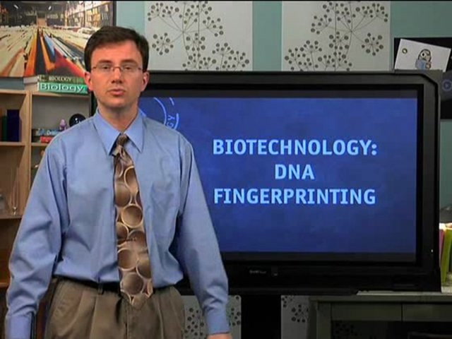 Biotech: DNA Fingerprinting