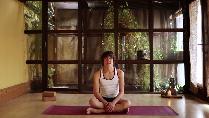 Iyengar Yoga Introduction