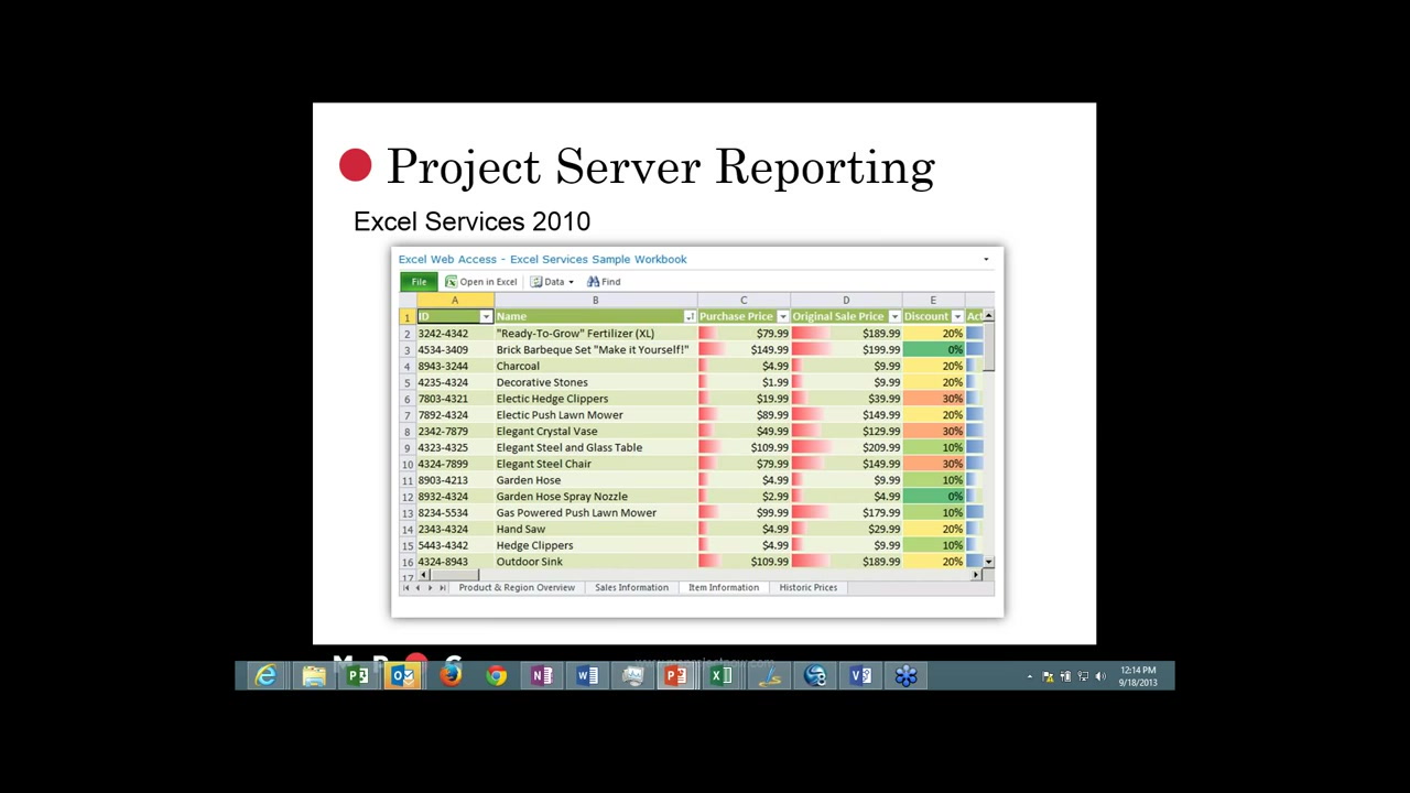 Ms Project 2013 Report Templates