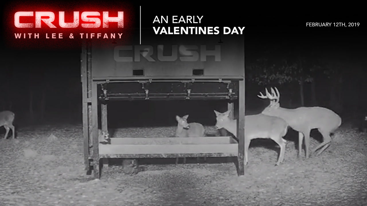 Looks Like an Early Valentine's Day on The Crush Cam
