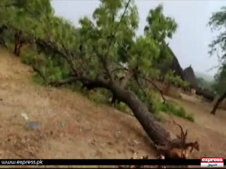 سندھ کے ضلع تھرپارکر میں بارش اور آسمانی بجلی نے قیامت ڈھا دی