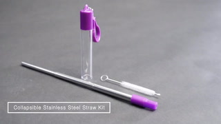 Collapsable Stainless Steel Straw Kit