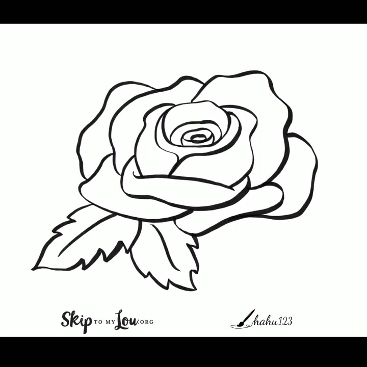 simple rose drawings in pencil
