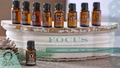 Focus Zen Essential Oils