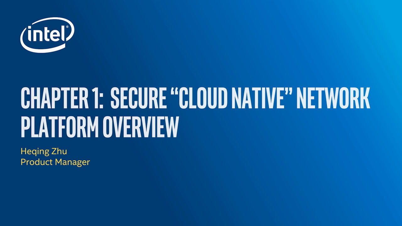 Secure Cloud Native Network Platform