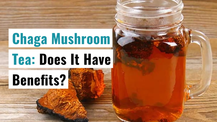 Chaga Mushroom Tea Health Benefits And