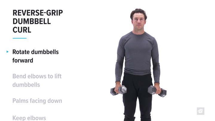 Standing Dumbbell Reverse Curl | Exercise Videos & Guides ...